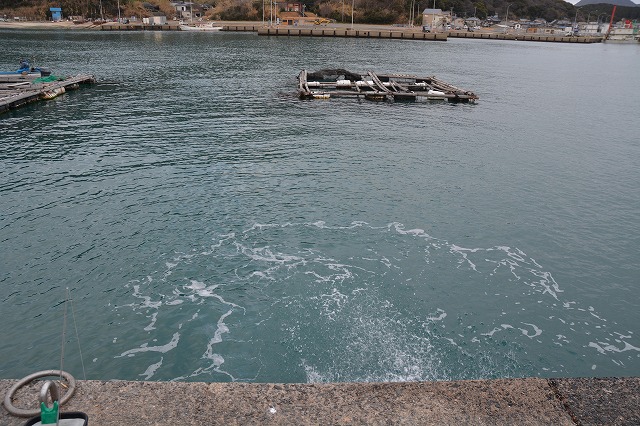 showPhoto (640×426)