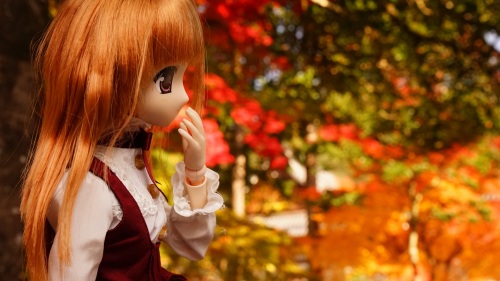 南禅寺 参道（永観堂方面）　紅葉 陽菜ちゃん.jpg