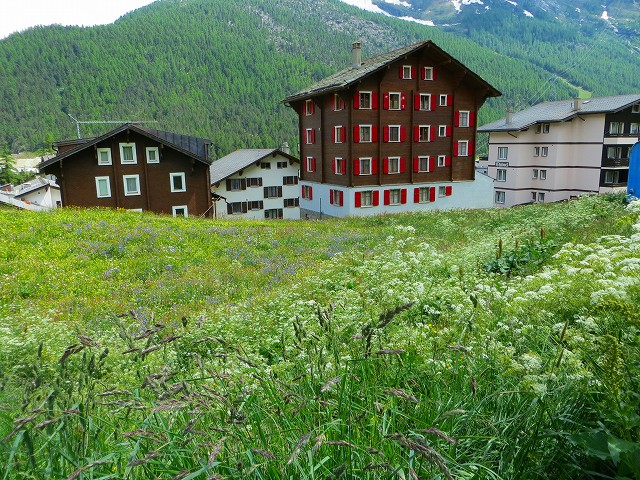 IMG_1552.jpg