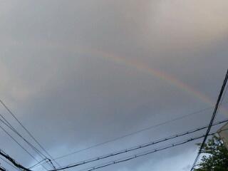 20130423_123611.jpg