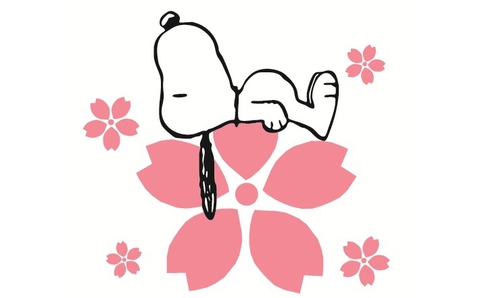 最高桜 スヌーピー 壁紙 春 最高の花の画像