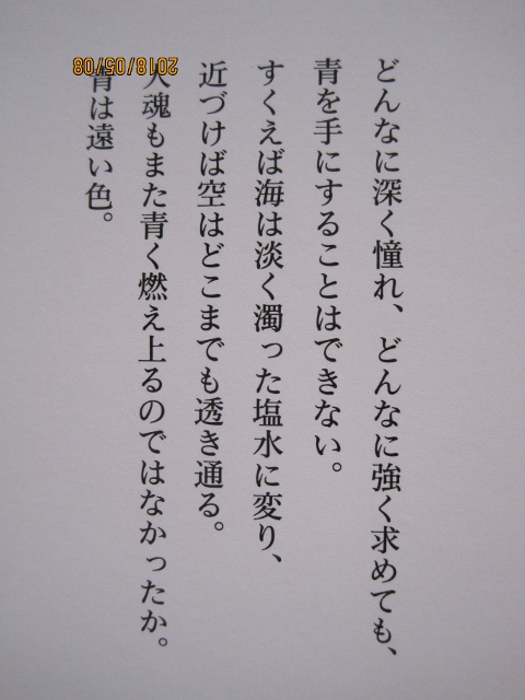 IMG_8117 (480x640).jpg