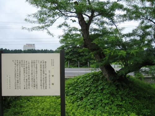 2013.7.31 道の駅かみおか　一里塚.JPG