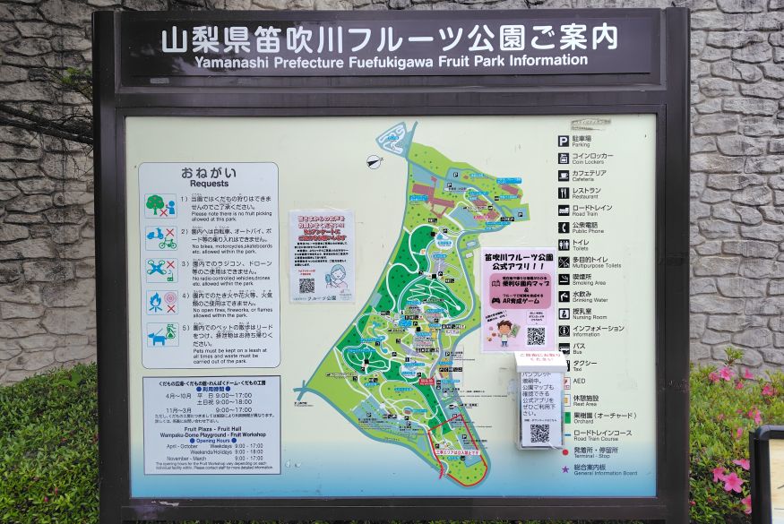 250527122553043.JPG
