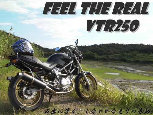 Feel the Real 2012.JPG