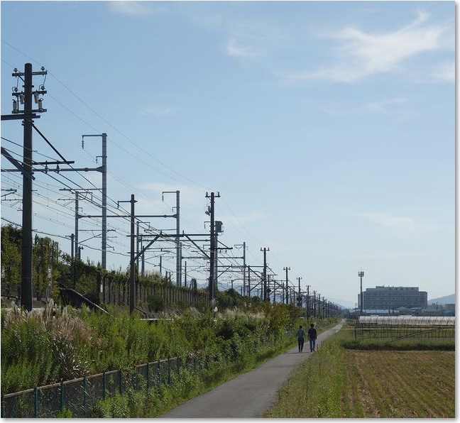 20この道を・・・