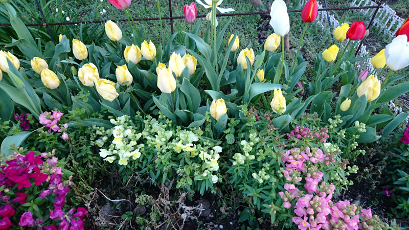 05_0250 800x450.JPG