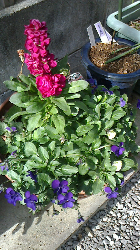 NEC_0627.JPG