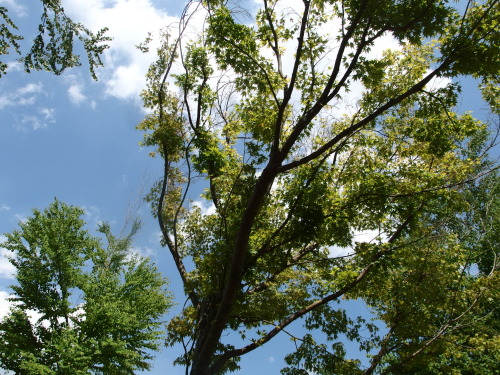 2015-06-10 12.29.23.jpg