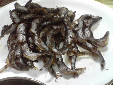 シシャモ22110702