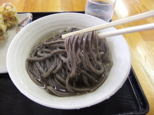 とんぼ＠栗林口のかけそば１玉１