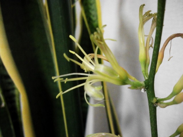 Image1357114798141.jpg