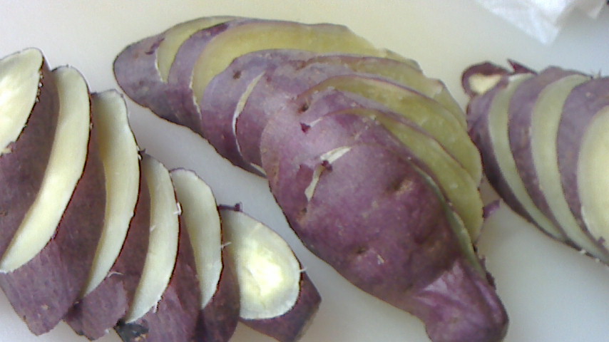NEC_0136.JPG