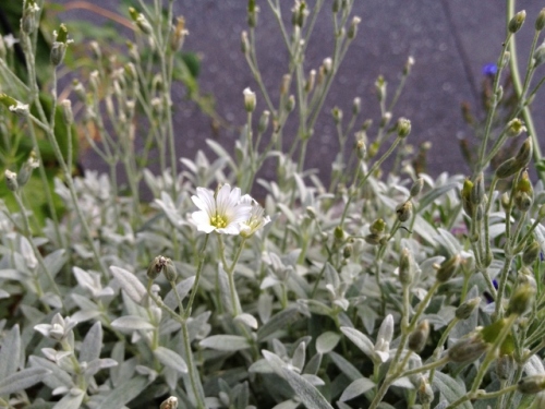 IMG_9356 (640x480).jpg