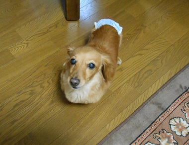 DSCN8850.JPG