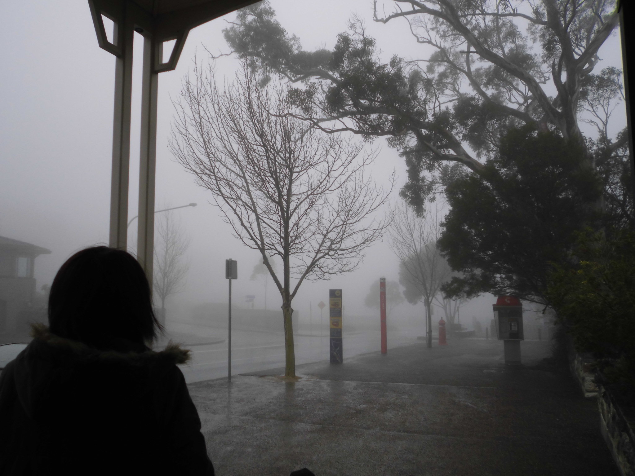 echo-point-bus-stop.JPG