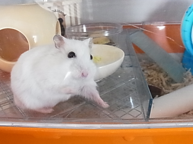 2014_06300029.JPG