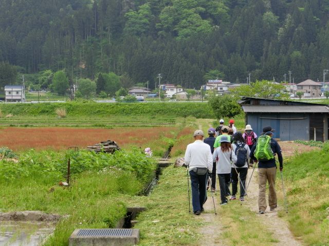 たんぼ道.jpg
