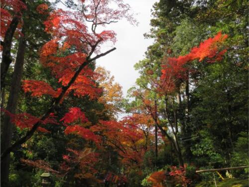 赤山禅寺 (46).jpg