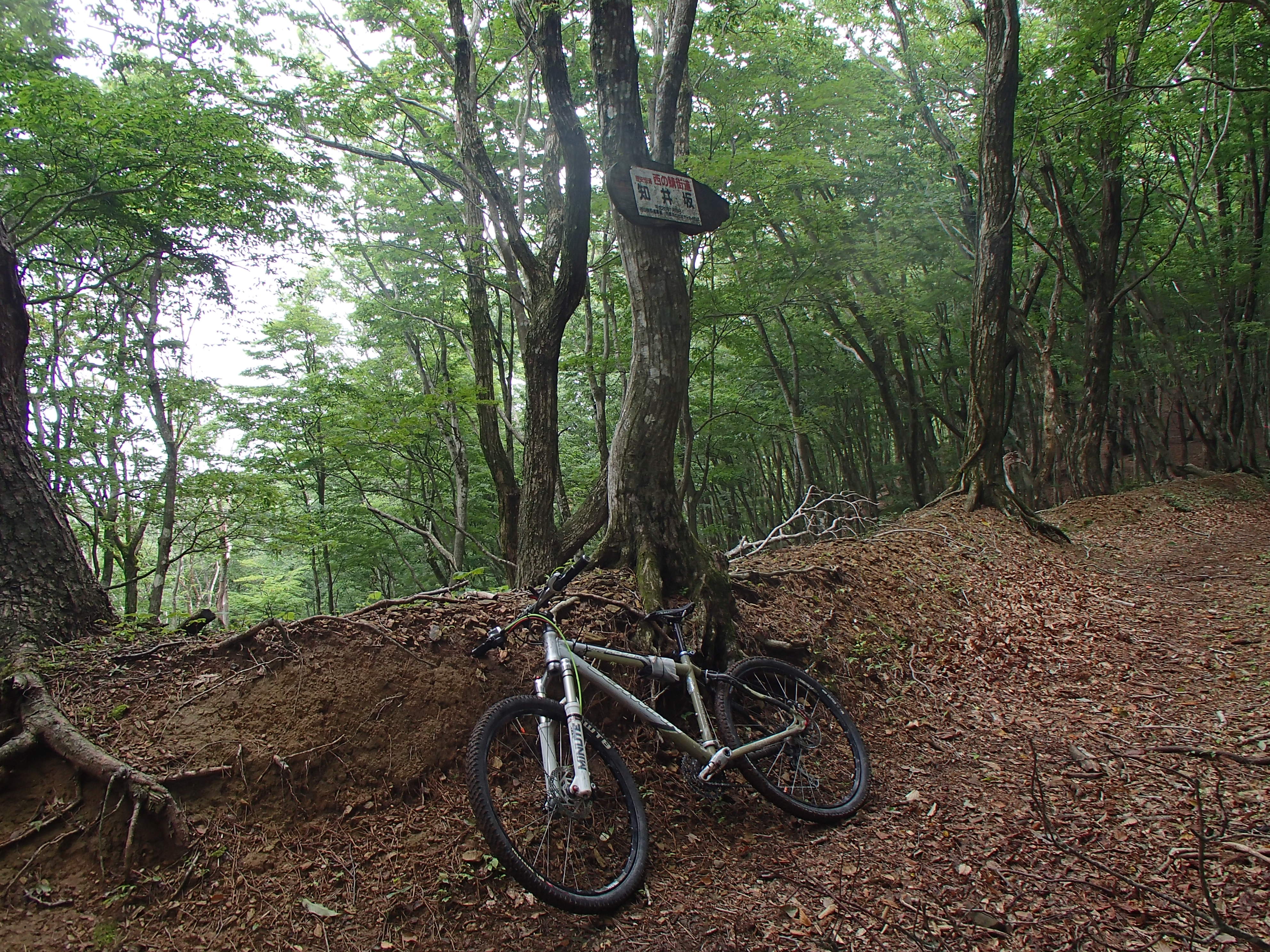 P6290141.JPG