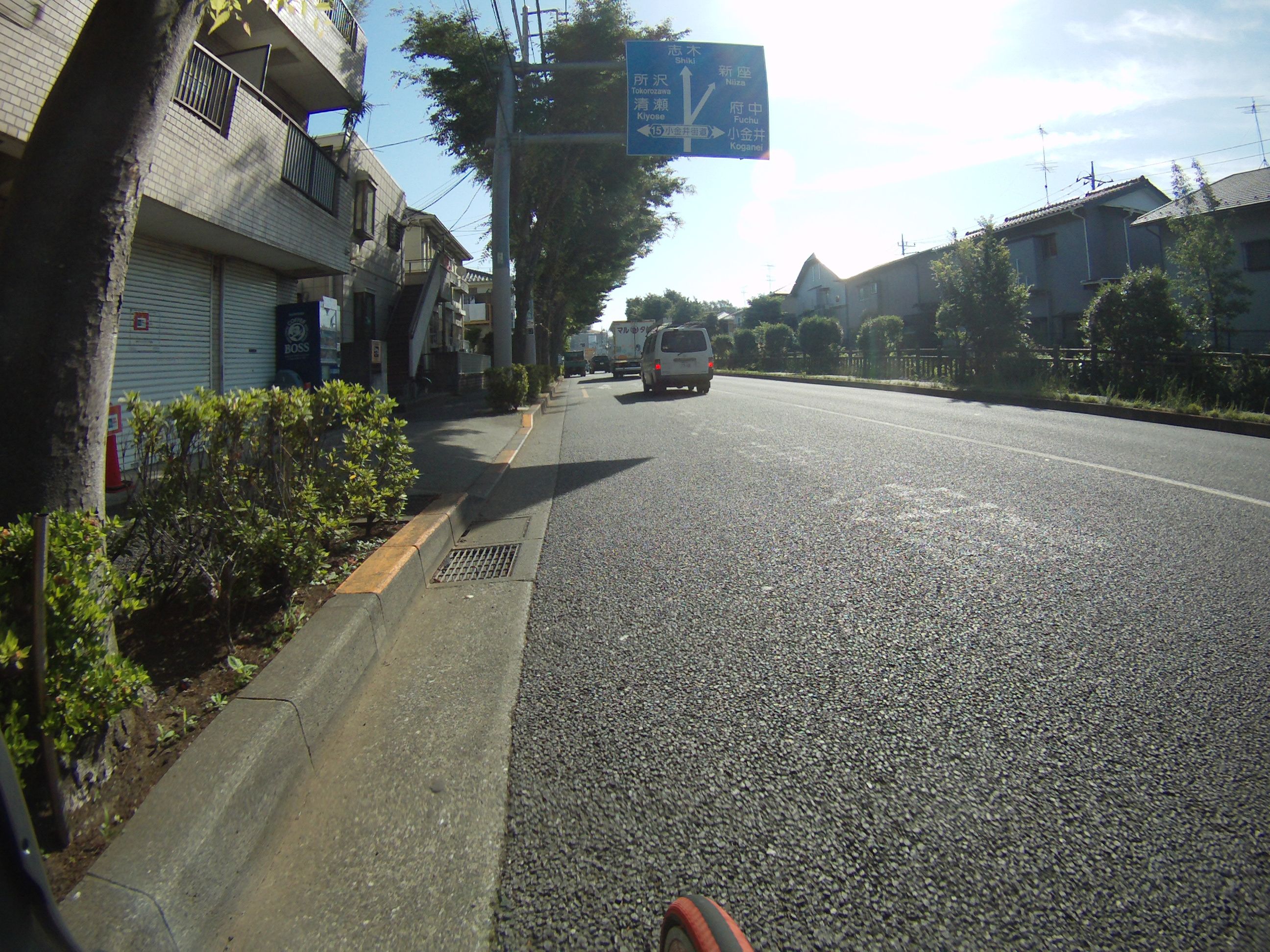 FILE1384.jpg