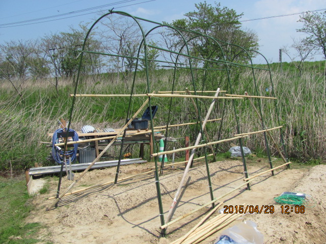 IMG_2625.JPG