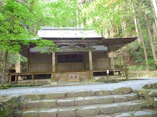 P1030421.jpg