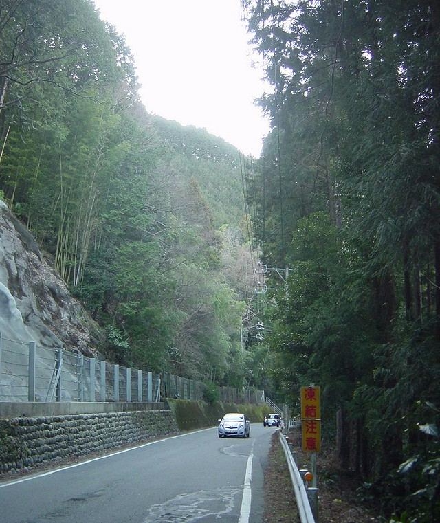43山道.JPG