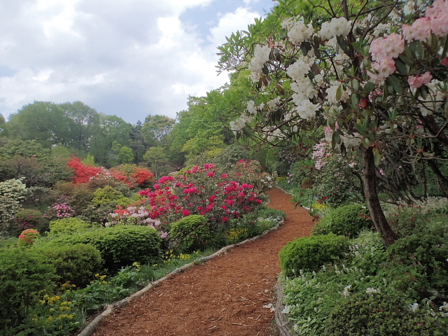 420160507赤城自然園.jpg