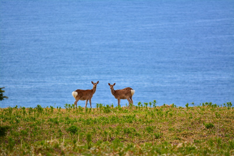 DSC_0626.jpg