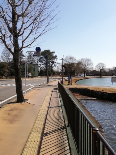 20190217-11_水城公園-2.jpg