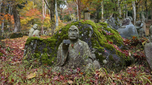 20141112 11094501.jpg