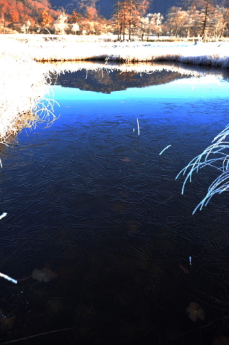 霜と氷の尾瀬ヶ原201311107.jpg