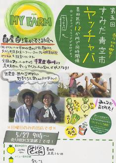 _ヤッチャバ２.JPG