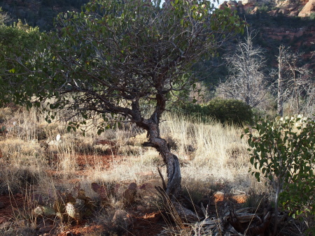 P3042189.JPG