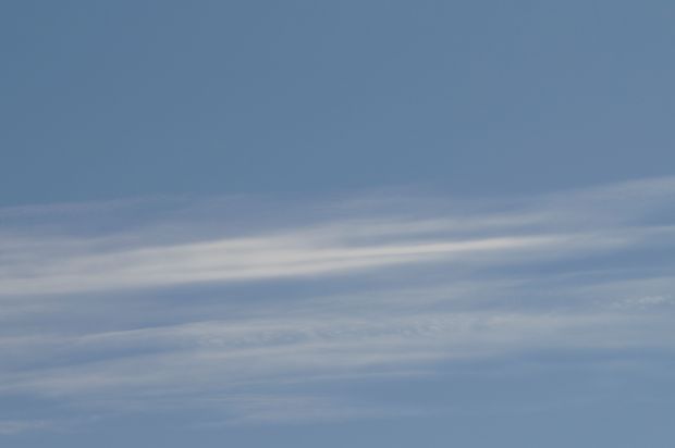 _DSC3155.JPG