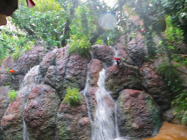 IMG_7357.jpg