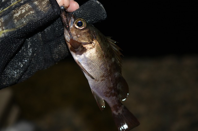 showPhoto (640×426)