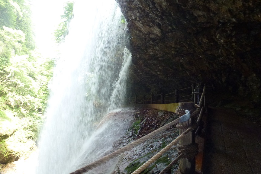 P1010221.jpg