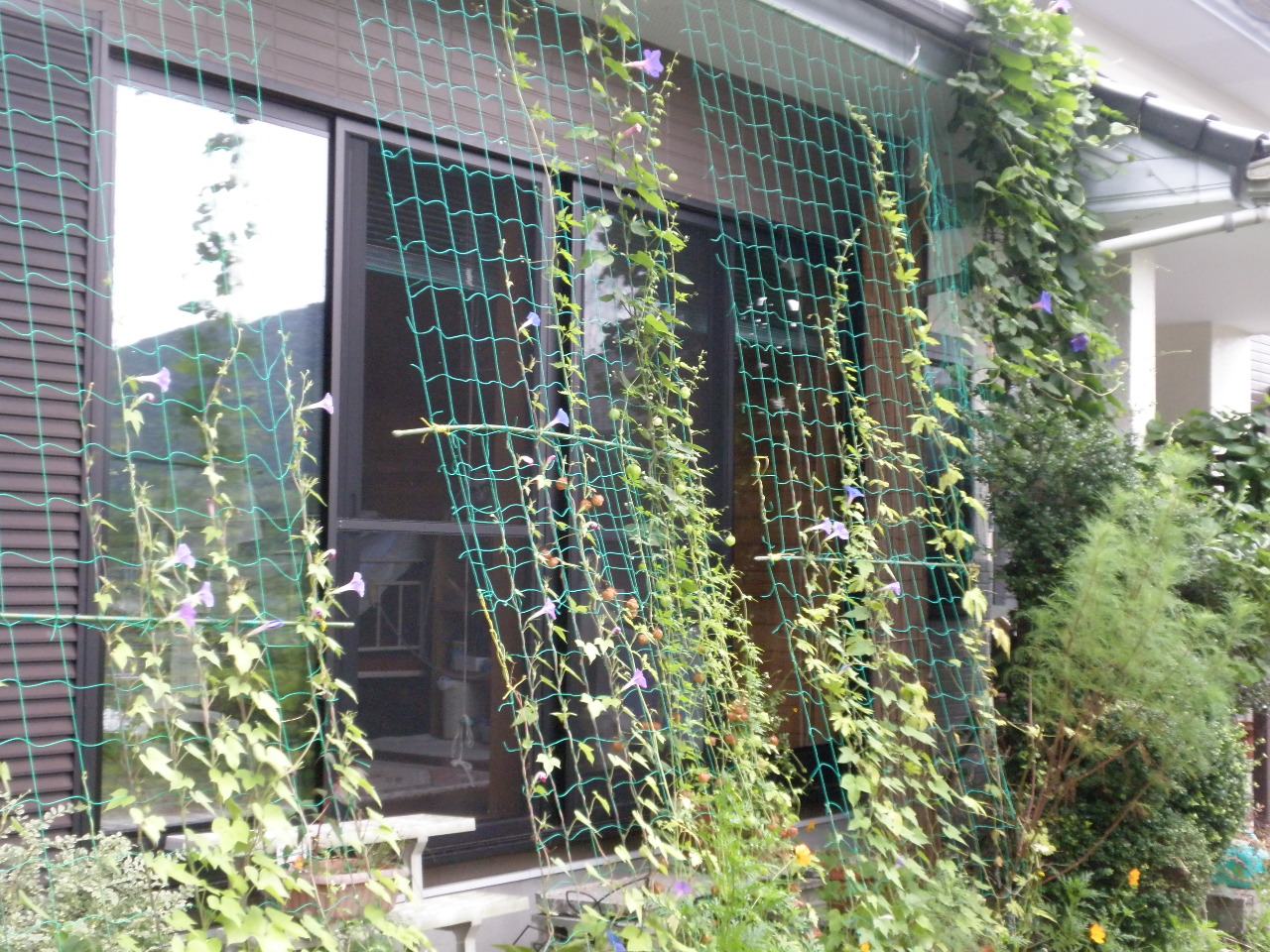 P8090245.JPG