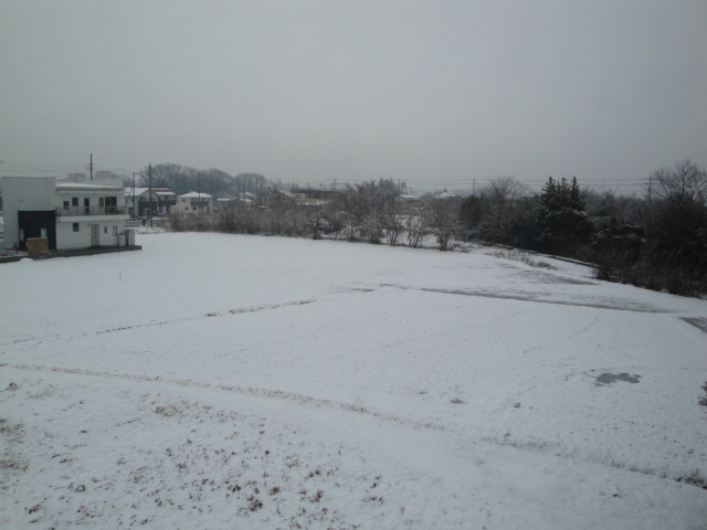 DSC01028.JPG