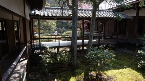 20160323 10163501.JPG