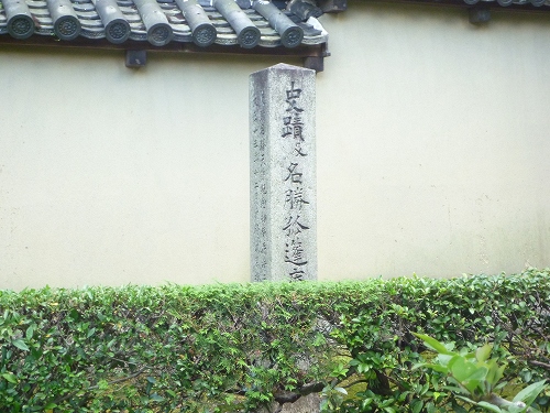 P1030379.jpg
