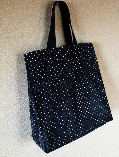 lessonbag.jpg