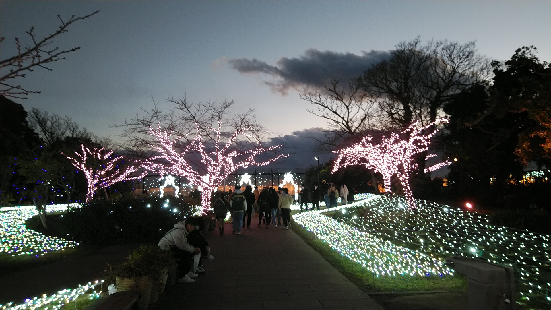 20230104  DSC_0007.jpg