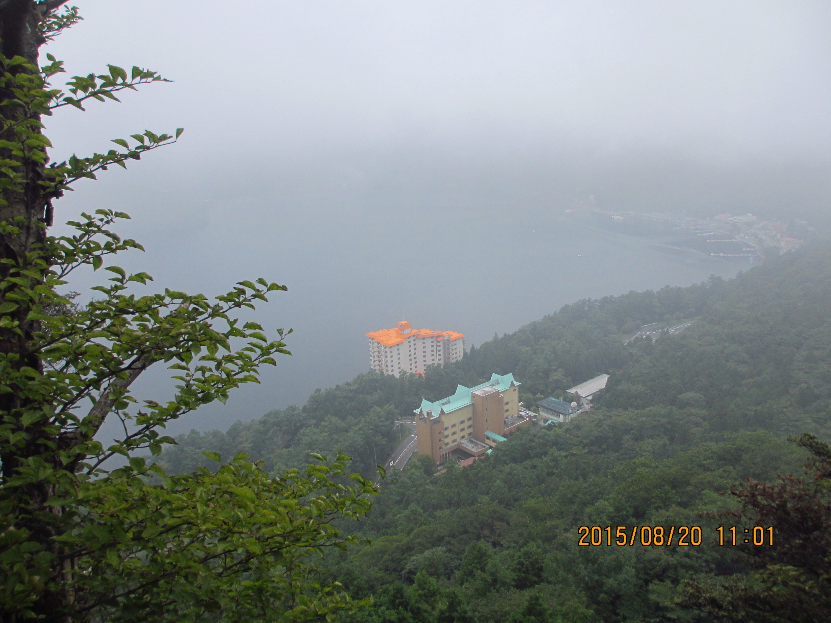 IMG_1321.JPG