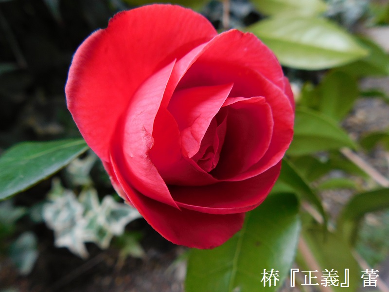 DSCN0291.JPG