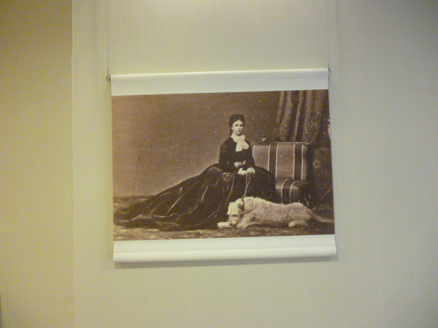 P1050251.JPG