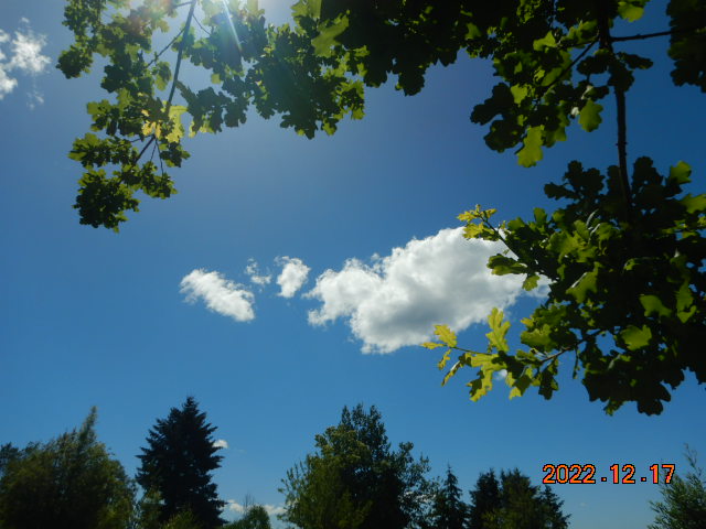 DSCN0586.JPG