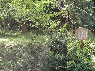 P4290075.jpg